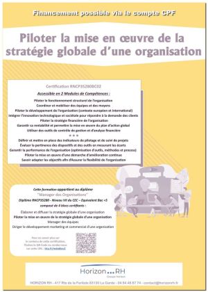 MDO Piloter la mise en œuvre de la stratégie globale d'une organisation