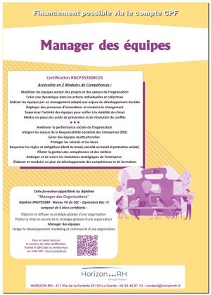 MDO Manager des équipes