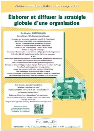 MDO Élaborer et diffuser la stratégie globale d’une organisation